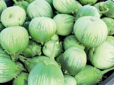 MattuGullasBF20nov2017