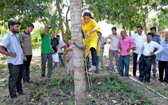 A girl trying to climb a coconut tree with the support of climbing equipment during the Krishi Sangama programme at Oddur Farm at Ganjimutt near Mangaluru. | Photo Credit: H_S_Manjunath