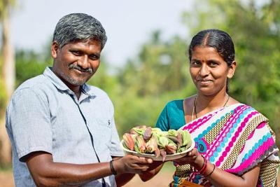 Farmer couple Shankar and Roopa have cultivated 13 different varieties of Ladies Finer at their land in Periyapatna taluk