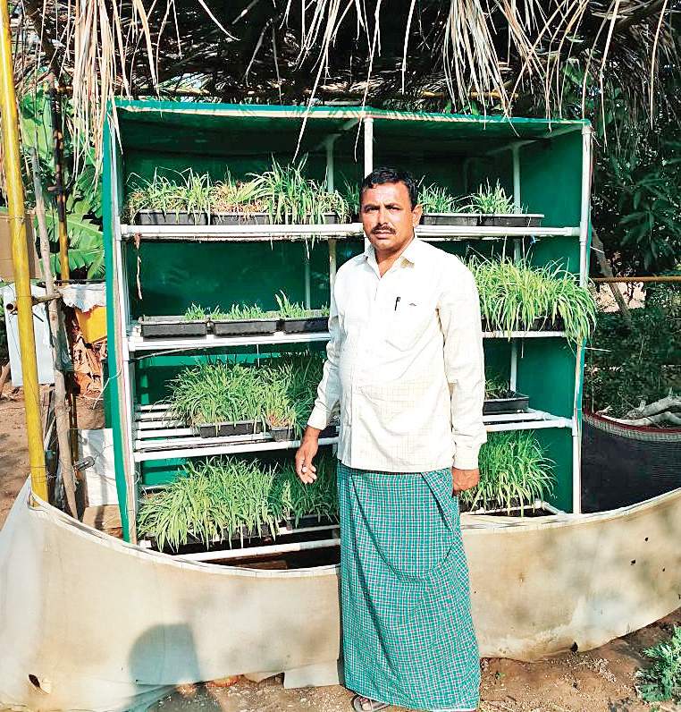 Sharanabasappa Patil of Hal Sultanpur village in front of his Solar hydroponics