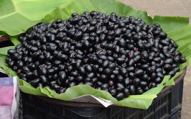 Seasonal Summer fruits for sale in Bengaluru | Photo Credit: G_P_Sampath Kumar
