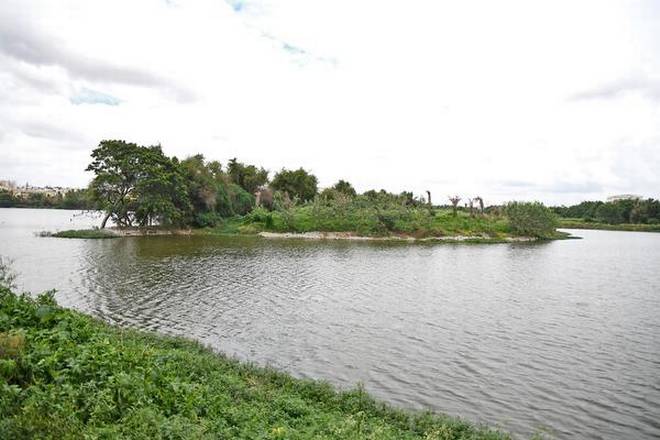 An island has been created in the lake as a nesting ground for birds and reptiles. | Photo Credit: G_P_Sampath Kumar