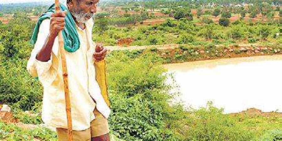 82-year-old Kaamegowda has created 14 ponds in his village Daasanadoddi | pandarinath b