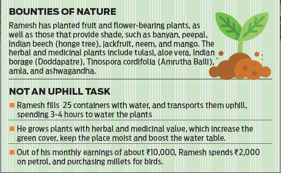 BountiesChartBF30jan2019