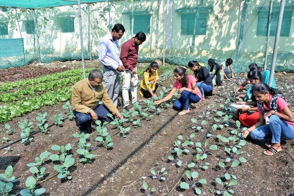 Raju Teggalli (extreme left), head of Kalaburagi’s Krishi Vigyan Kendra, along with scientists and students inside the shade-net where exotic vegetables are being grown . 