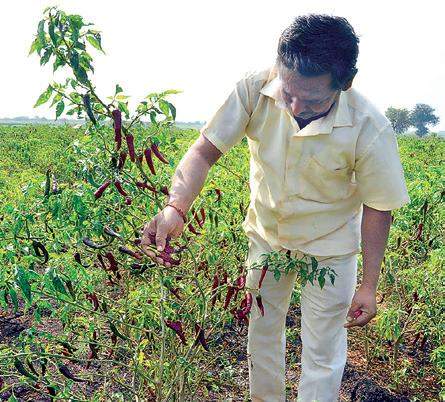 AngadiFamily02BF10feb2019