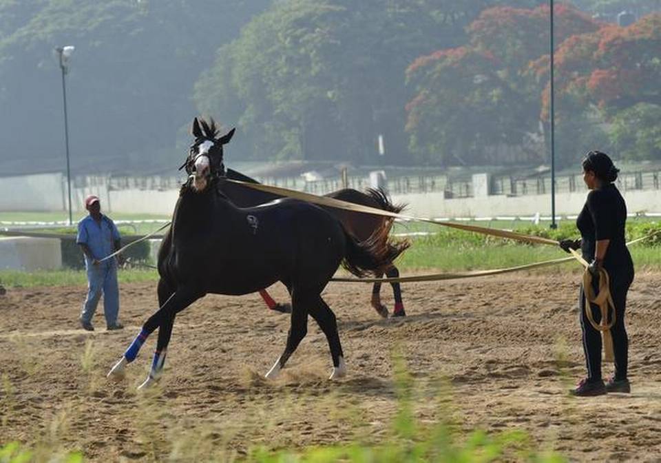Parvati Byramji horse trainer, during morning training session for Race Horses | Photo Credit: K_MURALI_KUMAR