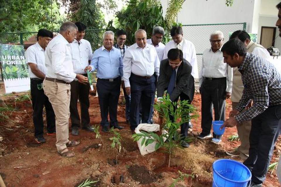Saplings being planted at the Kidwai Memorial Institute of Oncology. | Photo Credit: Handout E Mail