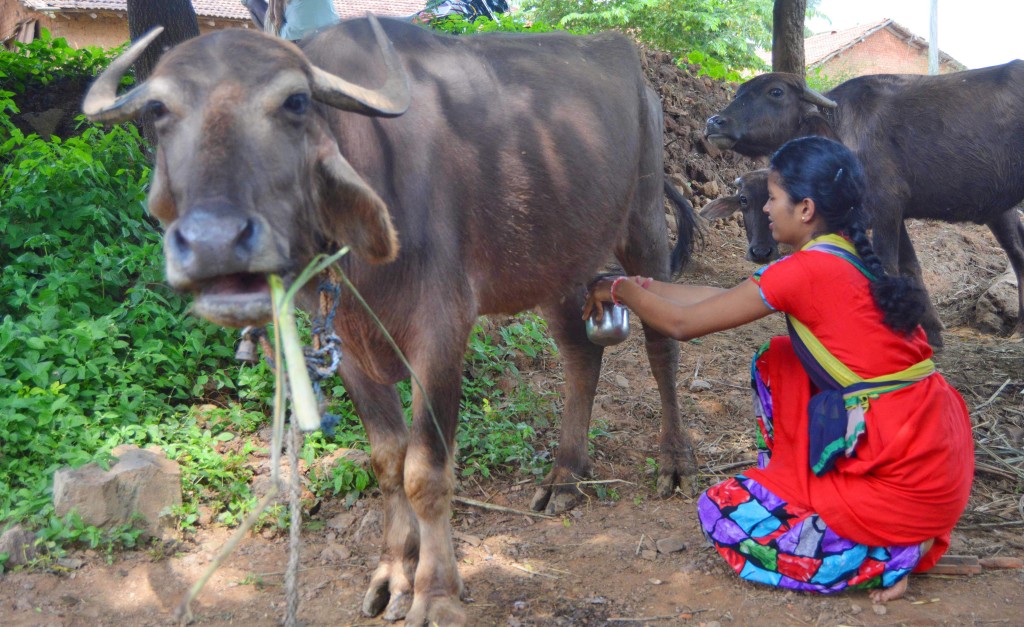 Bheemikka02BF06nov2019