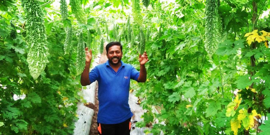 He has been cultivating it in his 1.5-acre lands out of five-acres owned by him and is earning in lakhs every month, which he says, no employer could have paid him that much salary, if he had got a job.
